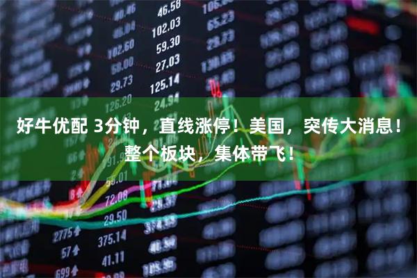 好牛优配 3分钟，直线涨停！美国，突传大消息！整个板块，集体带飞！