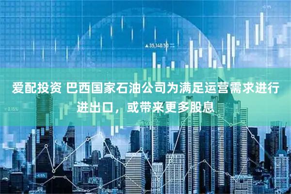 爱配投资 巴西国家石油公司为满足运营需求进行进出口，或带来更多股息