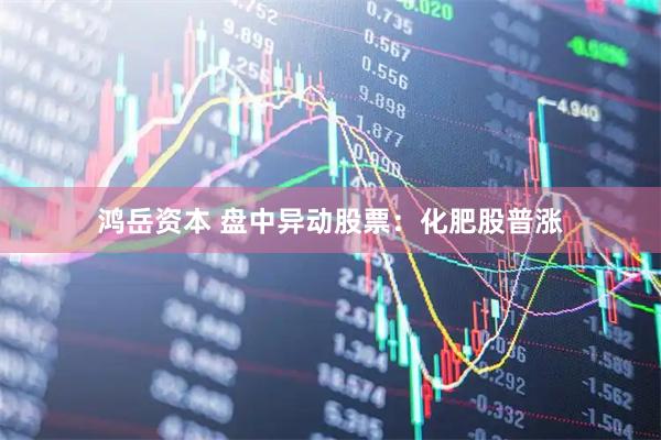 鸿岳资本 盘中异动股票：化肥股普涨