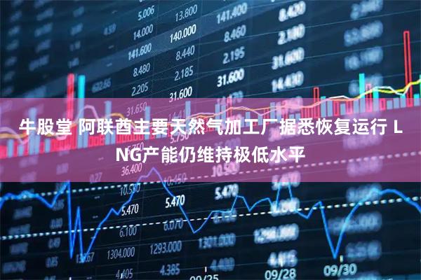 牛股堂 阿联酋主要天然气加工厂据悉恢复运行 LNG产能仍维持极低水平