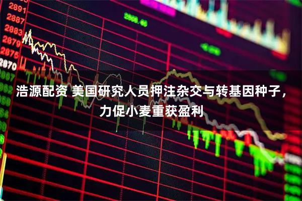 浩源配资 美国研究人员押注杂交与转基因种子，力促小麦重获盈利