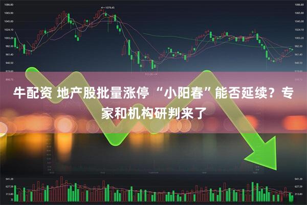 牛配资 地产股批量涨停 “小阳春”能否延续?专家和机构研判来了