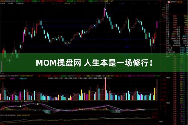 MOM操盘网 人生本是一场修行！