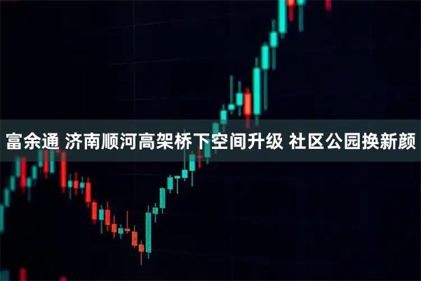 富余通 济南顺河高架桥下空间升级 社区公园换新颜