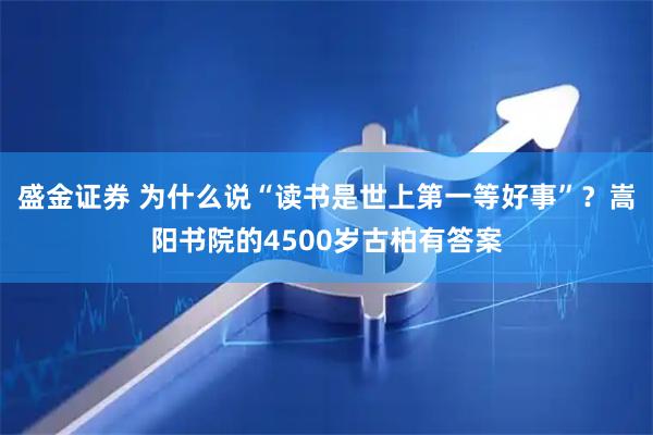盛金证券 为什么说“读书是世上第一等好事”？嵩阳书院的4500岁古柏有答案
