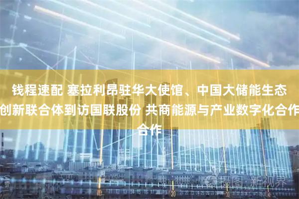 钱程速配 塞拉利昂驻华大使馆、中国大储能生态创新联合体到访国联股份 共商能源与产业数字化合作