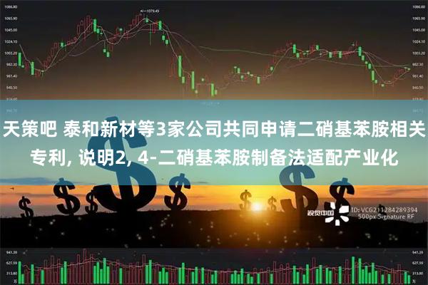 天策吧 泰和新材等3家公司共同申请二硝基苯胺相关专利, 说明2, 4-二硝基苯胺制备法适配产业化