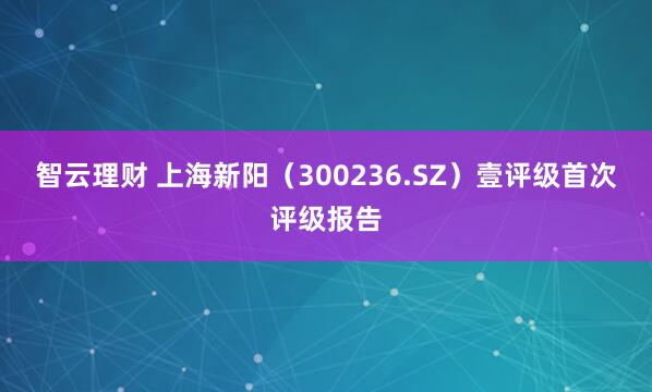 智云理财 上海新阳（300236.SZ）壹评级首次评级报告
