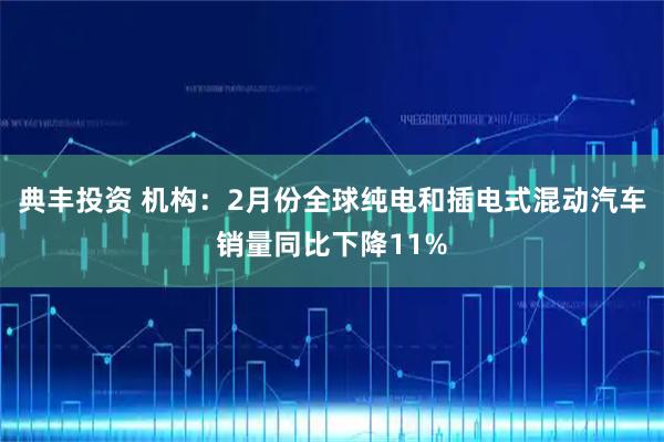典丰投资 机构:2月份全球纯电和插电式混动汽车销量同比下降11%