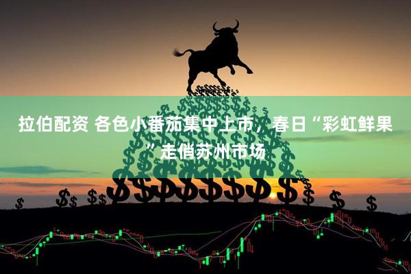 拉伯配资 各色小番茄集中上市，春日“彩虹鲜果”走俏苏州市场