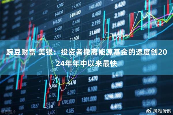 豌豆财富 美银：投资者撤离能源基金的速度创2024年年中以来最快