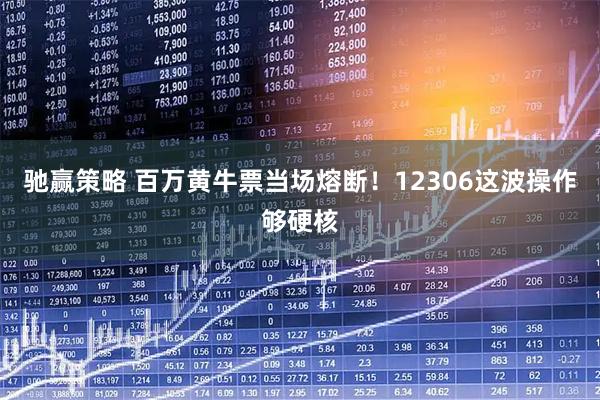 驰赢策略 百万黄牛票当场熔断!12306这波操作够硬核