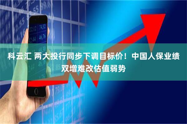 科云汇 两大投行同步下调目标价！中国人保业绩双增难改估值弱势