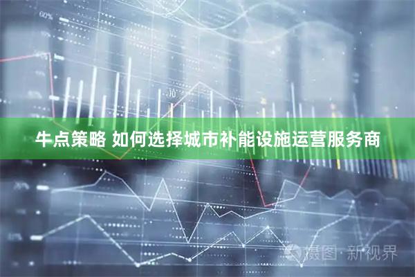 牛点策略 如何选择城市补能设施运营服务商