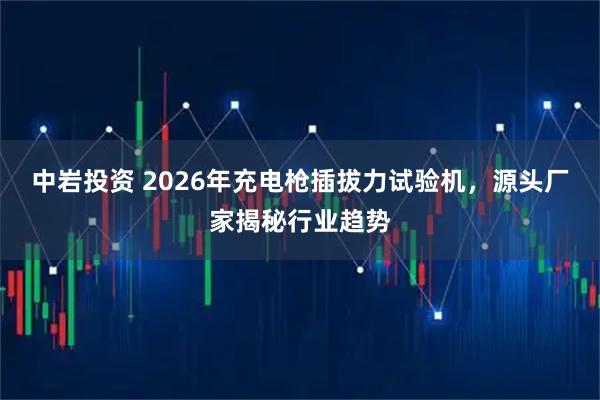 中岩投资 2026年充电枪插拔力试验机,源头厂家揭秘行业趋势