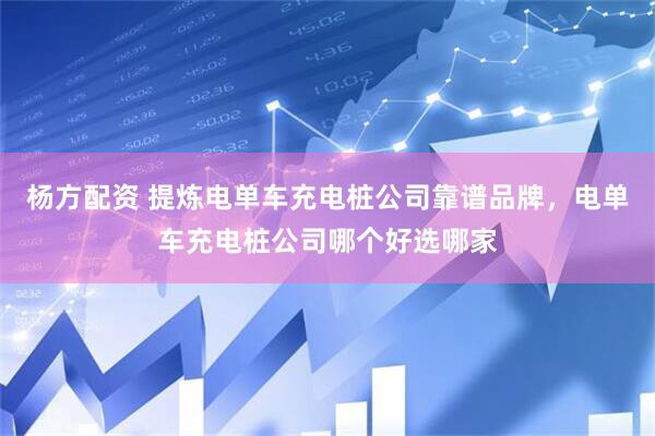 杨方配资 提炼电单车充电桩公司靠谱品牌，电单车充电桩公司哪个好选哪家
