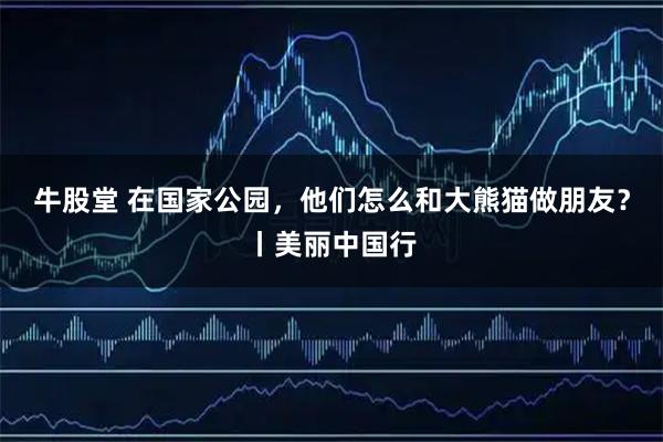 牛股堂 在国家公园，他们怎么和大熊猫做朋友？丨美丽中国行