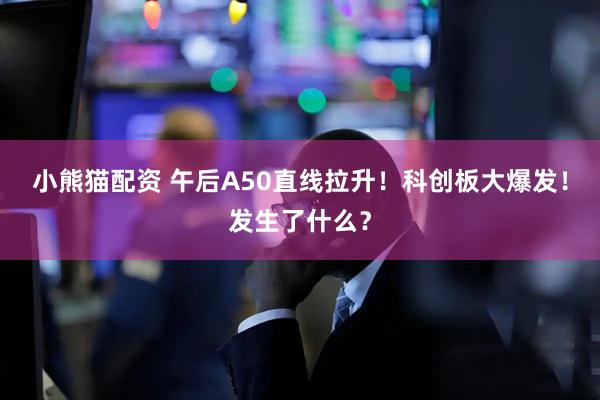 小熊猫配资 午后A50直线拉升！科创板大爆发！发生了什么？