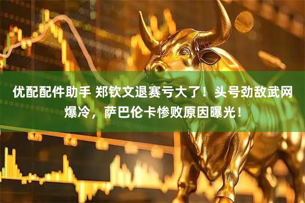 优配配件助手 郑钦文退赛亏大了！头号劲敌武网爆冷，萨巴伦卡惨败原因曝光！